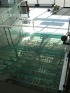 Изготовление и монтаж лестниц из стекла со стеклянными ступенями фото 3